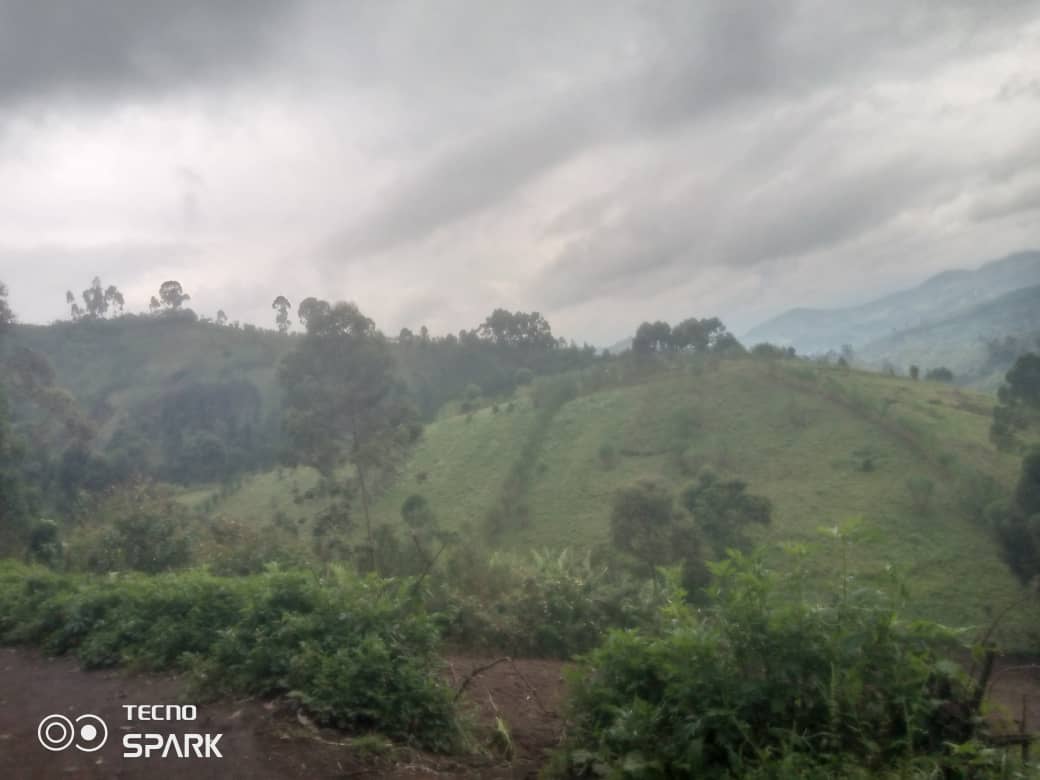 Hectare d'espoir pour KANIRO - Image 2