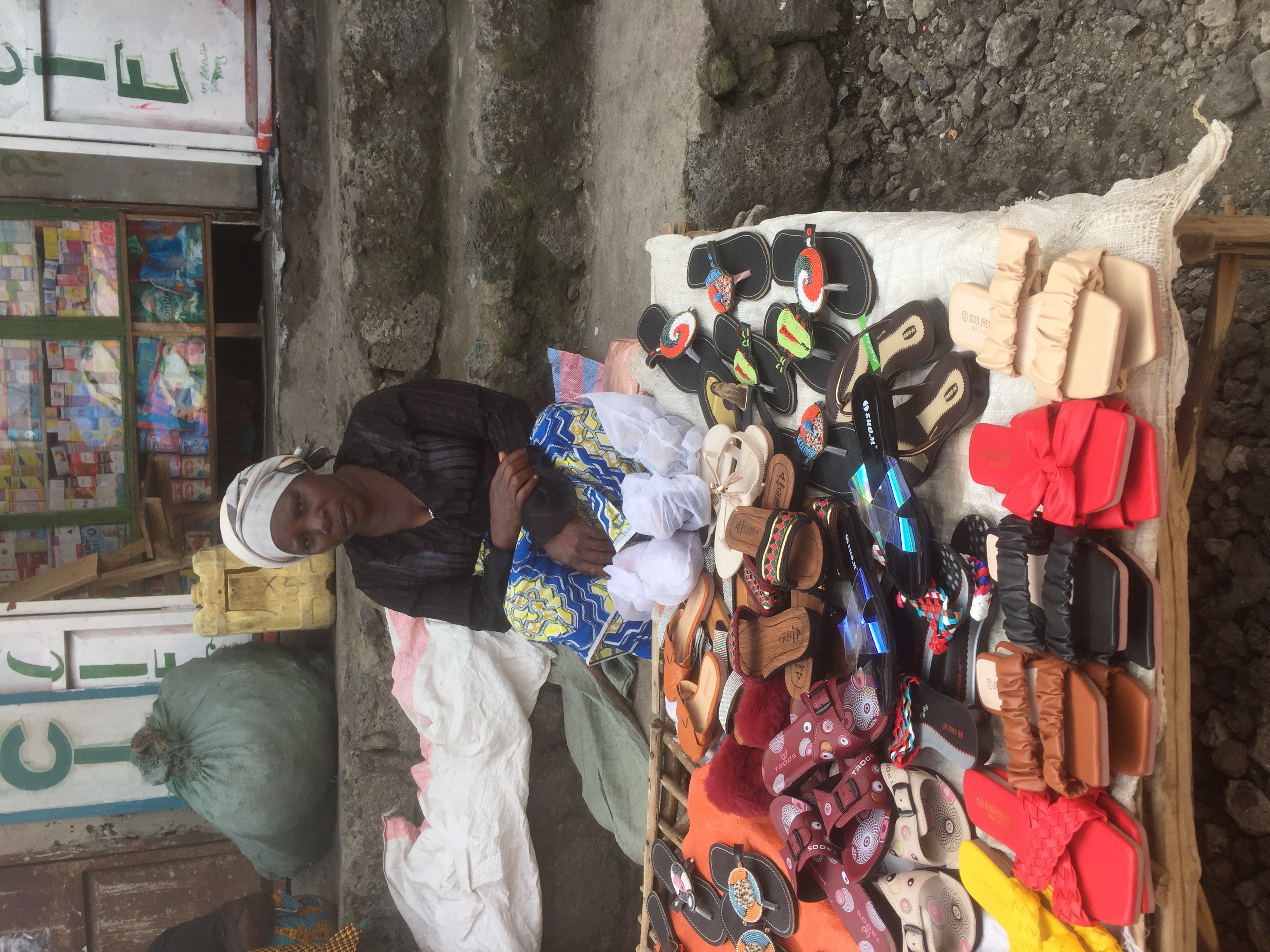 Autonomisation économique et résilience des communautés vulnérables à Goma et Nyiragongo (RDC)